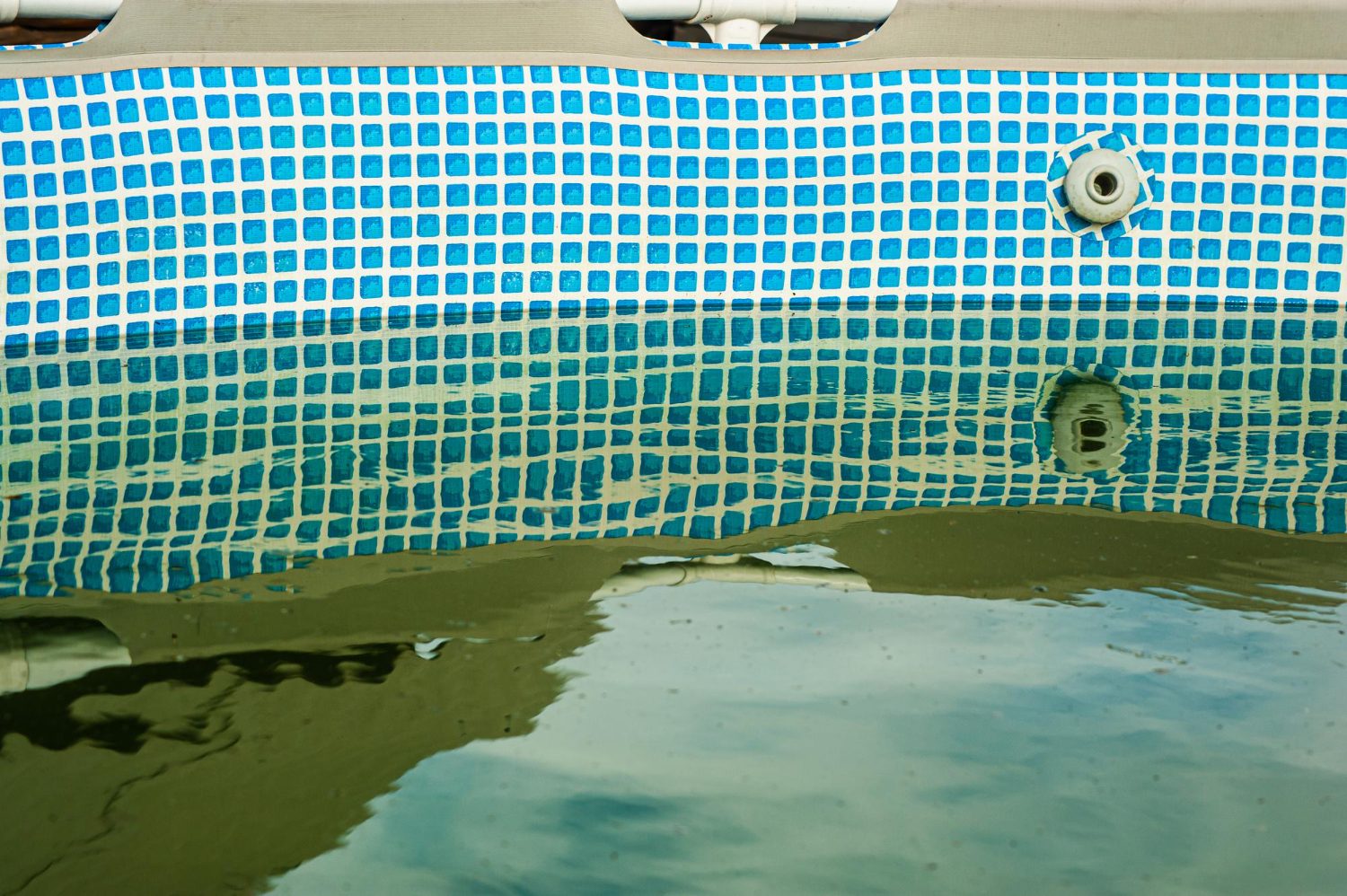 O que fazer quando a água da piscina fica verde? Por que ela pode ser perigosa neste estado?