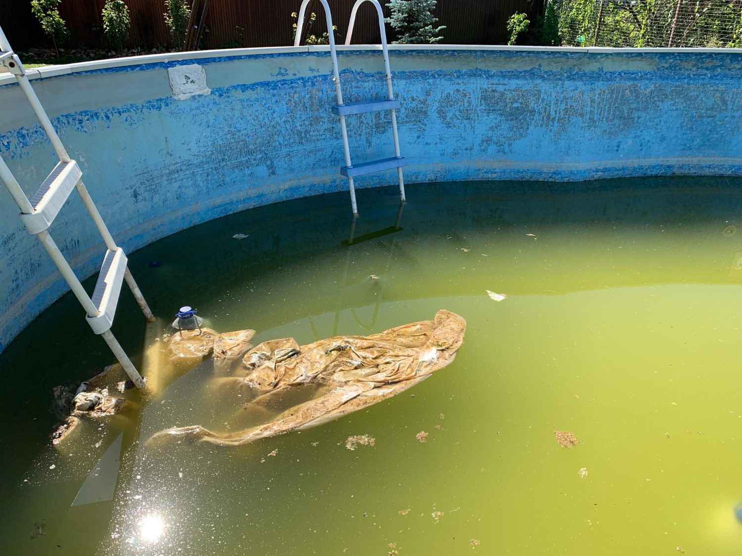 o que fazer quando a água da piscina fica verde